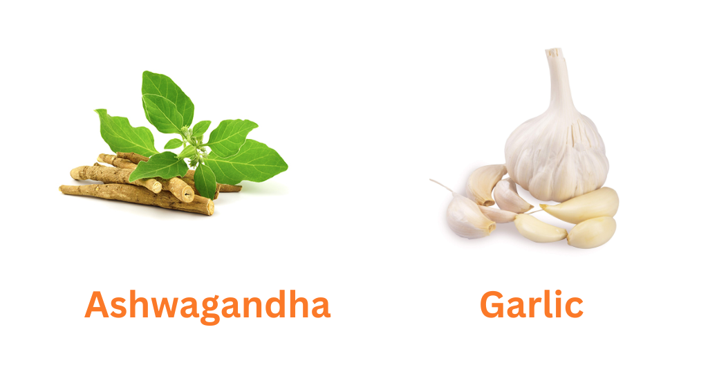Ashwagandha and Garlic - Herbal Remedies for Cancer Care